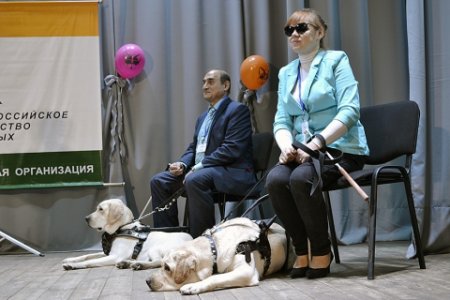 Собак-поводырей ивановцы получают как средства реабилитации
